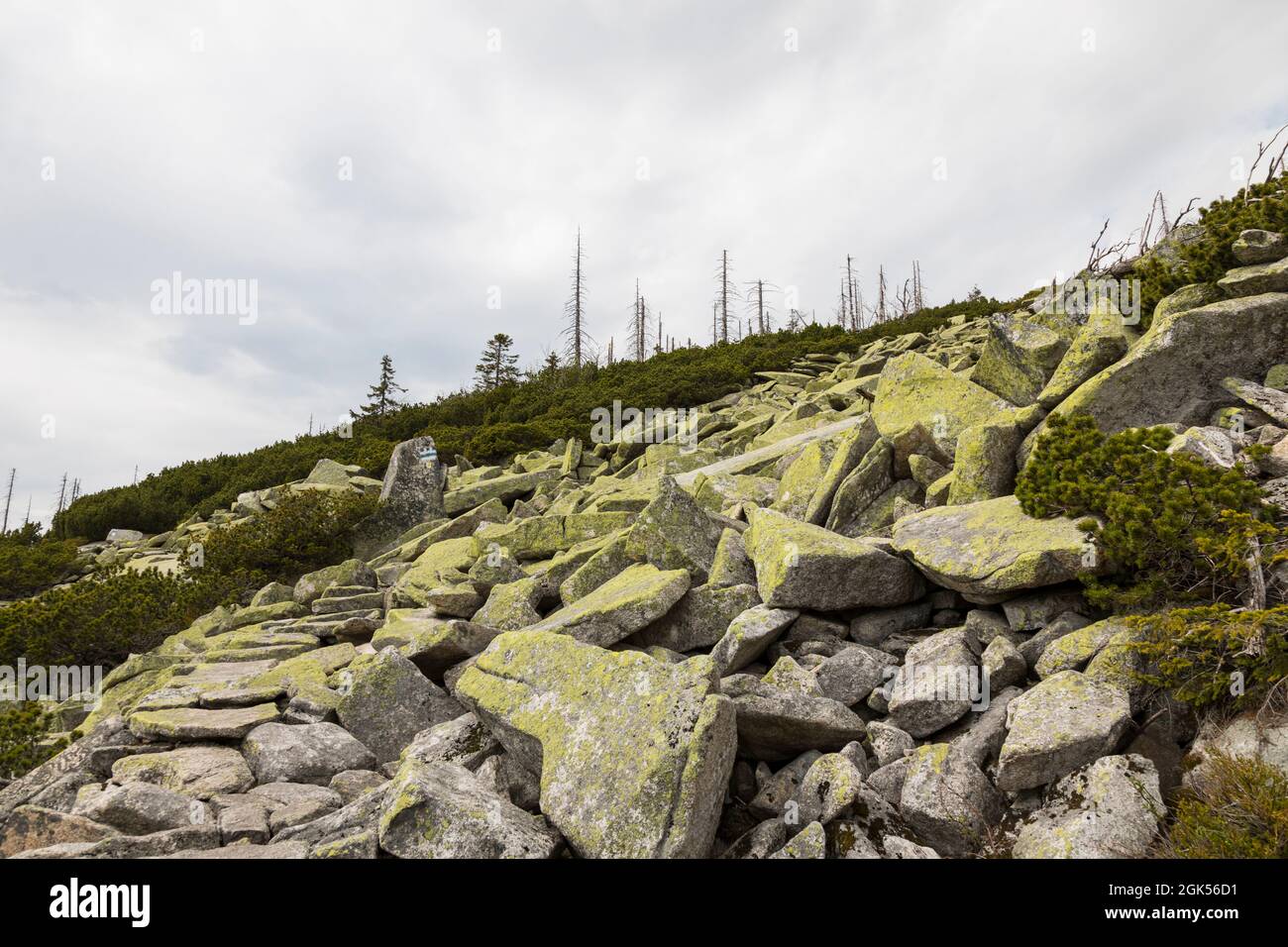 Steinfeld im Bayerischen Wald, stone field in bavarian forest Stock Photo