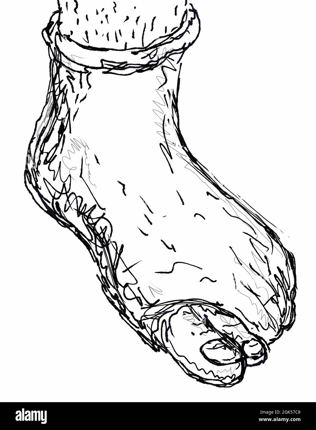 Vector sketch icon of human foot bones or joints  Stock Illustration  31026883  PIXTA