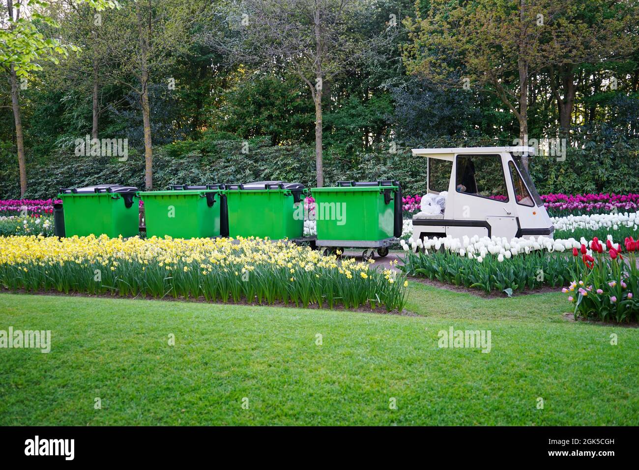 Carts with small electric trash truck in park Stock Photo
