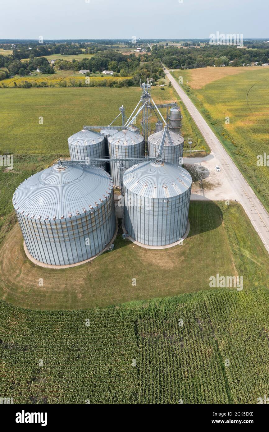 Martin, Michigan A grain storage silo complex, surrounded by corn
