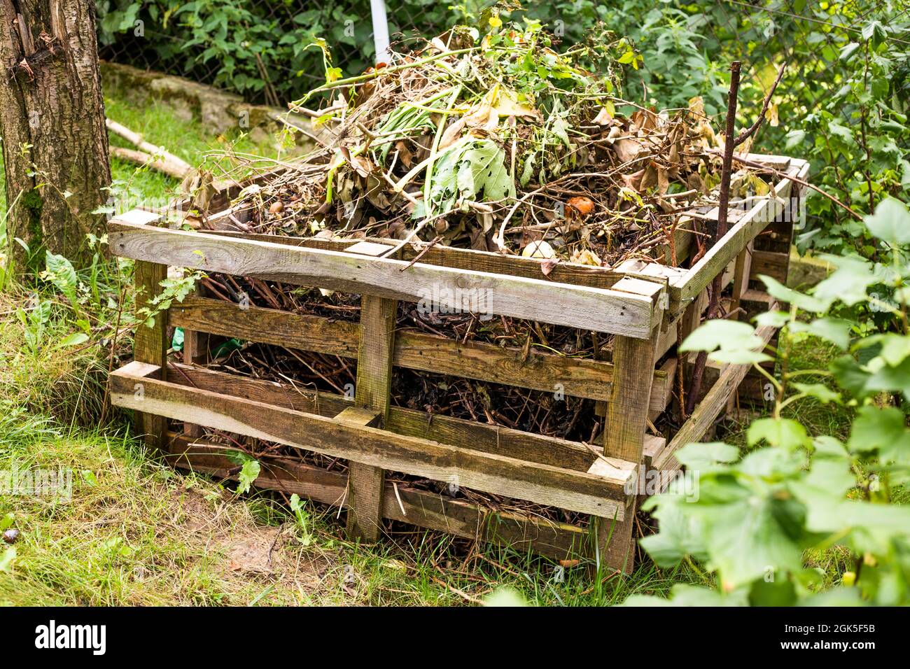 Pallet Compost Bin. Composter made og pallets in garden Stock Photo Alamy