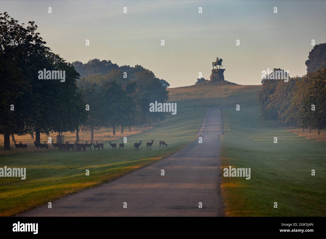 Windsor Great Park at Dawn, London UK Stock Photo