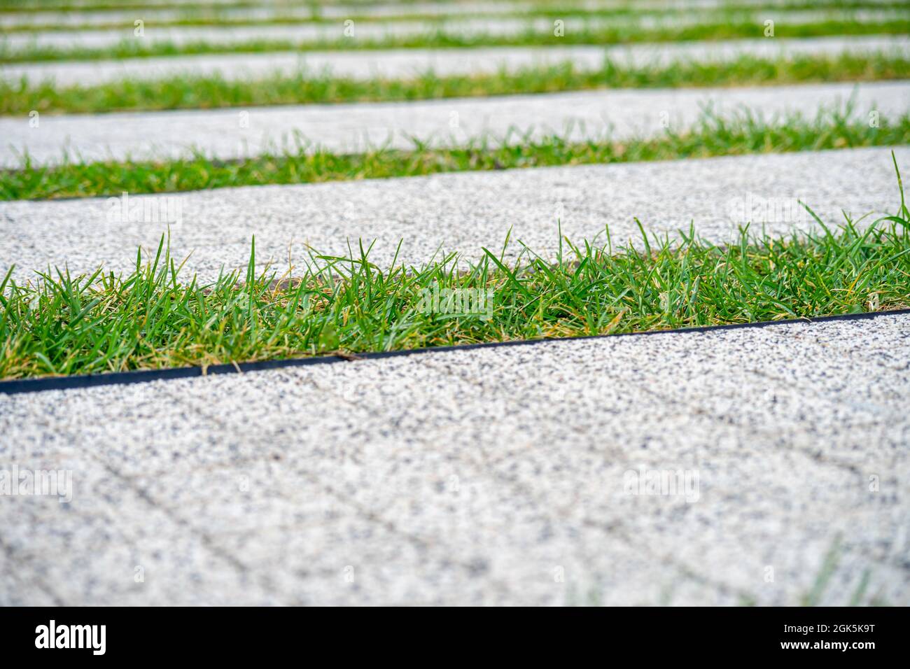 Grass between sidewalk tiles, overgrown with grass urban environment