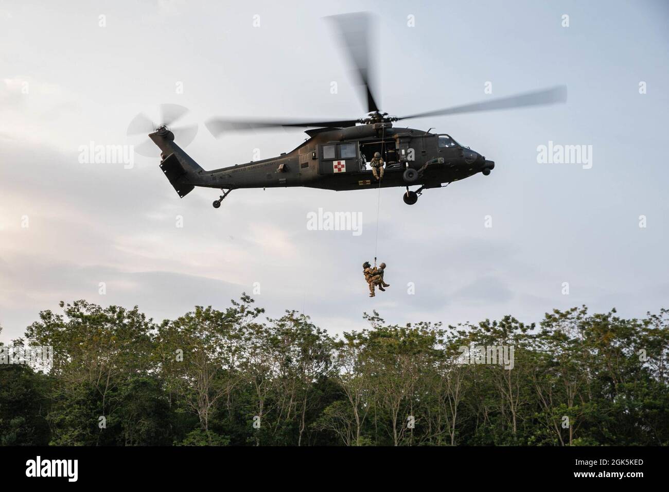 Jungle hires stock photography and images Alamy