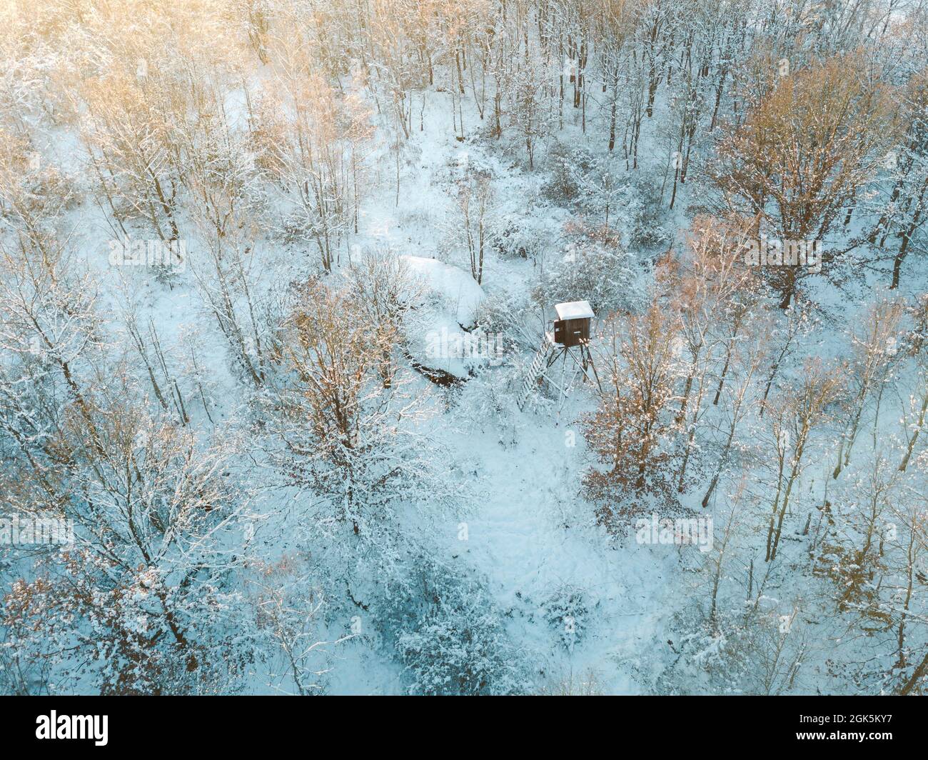 Aerial view snowy forest in hi-res stock photography and images - Alamy