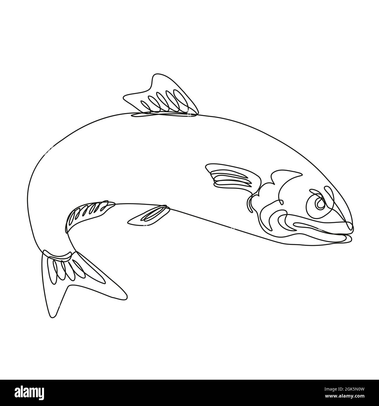 detailed illustration of a fish line art on white Stock Photo - Alamy