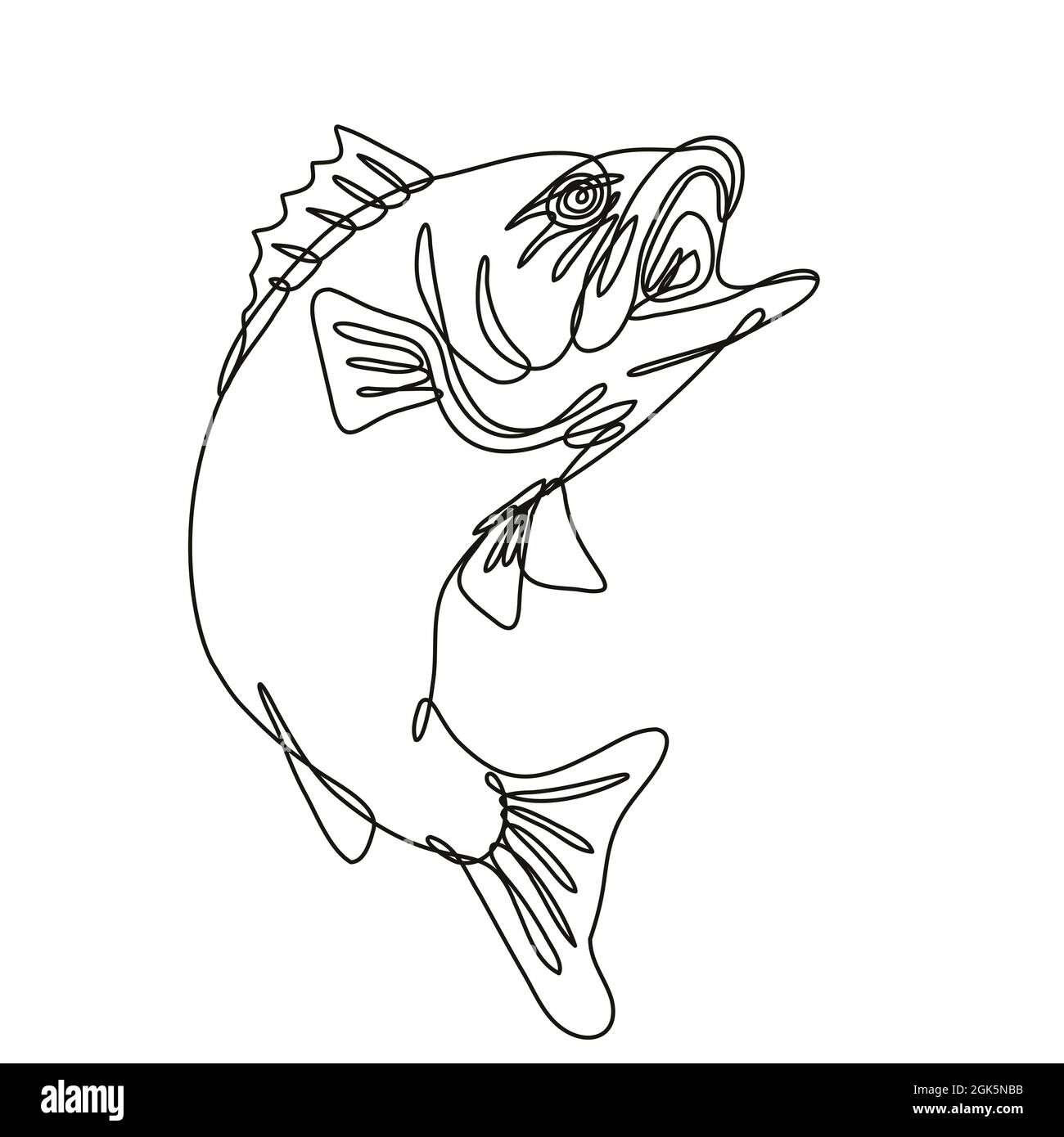 Largemouth Bass Jumping Up Continuous Line Drawing Stock Photo - Alamy