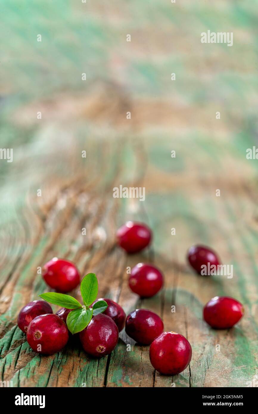 Fresh cranberries fruits ion burlap background and daylight Stock Photo