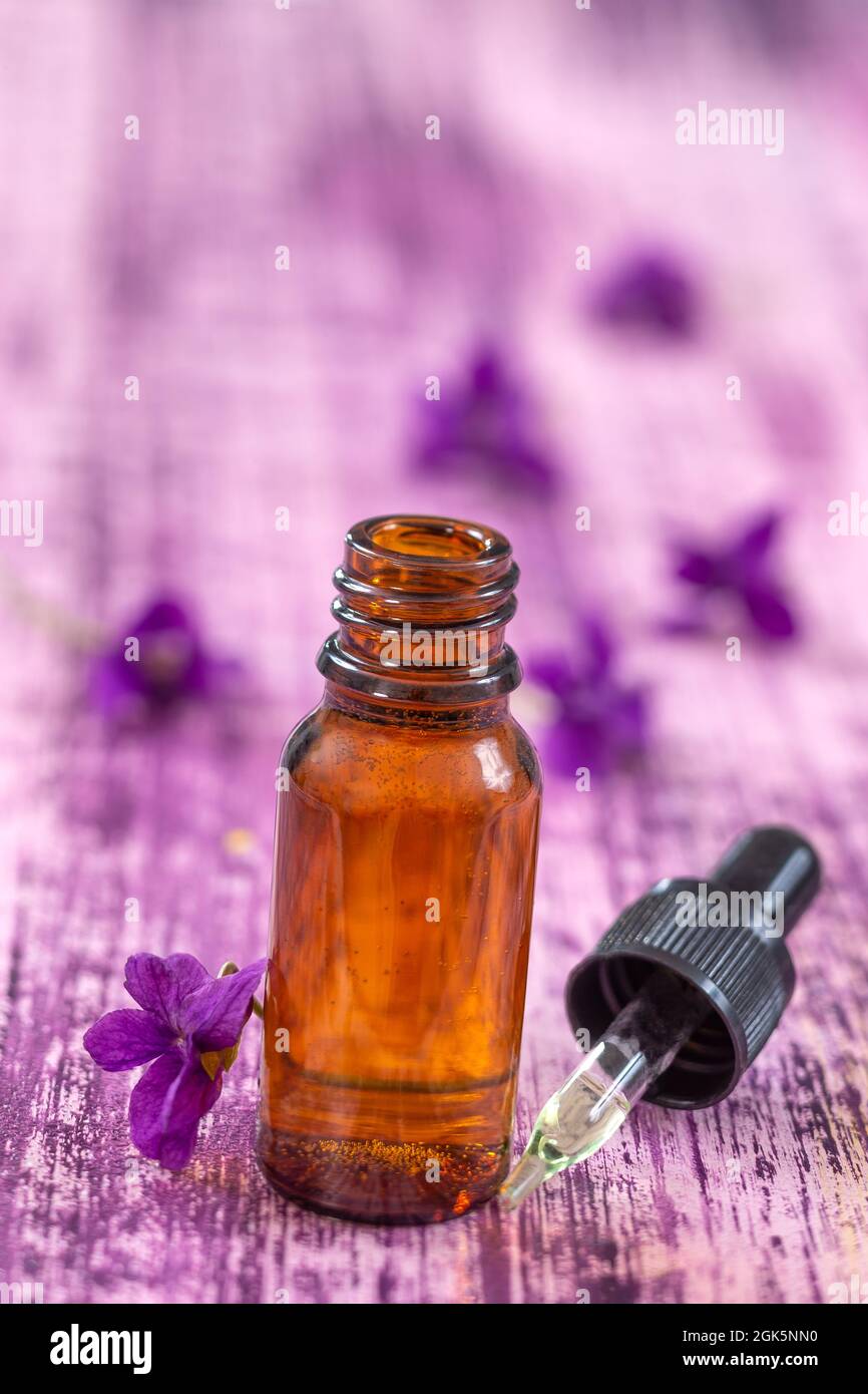 Oil and flower of violets for essential oil therapy Stock Photo