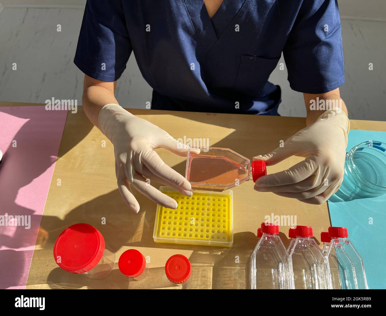 Woman in research laboratory hi-res stock photography and images - Alamy