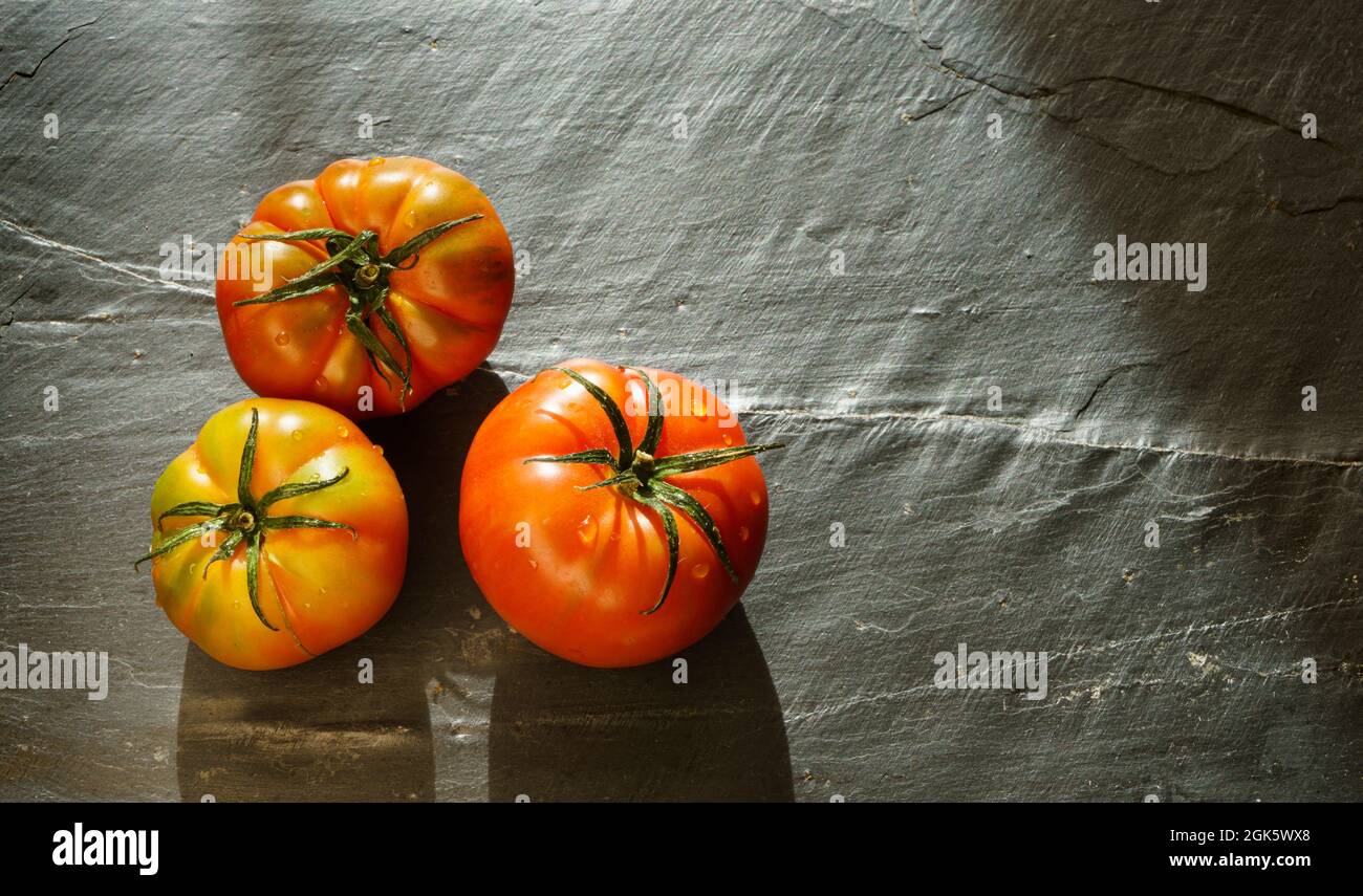 Still life with three organically grown tomatoes on a dark background ...
