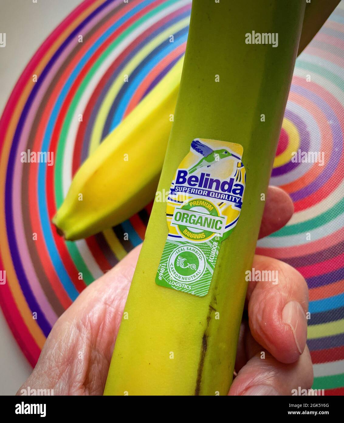 Close up of Belinda Brand Organic Banana, USA Stock Photo