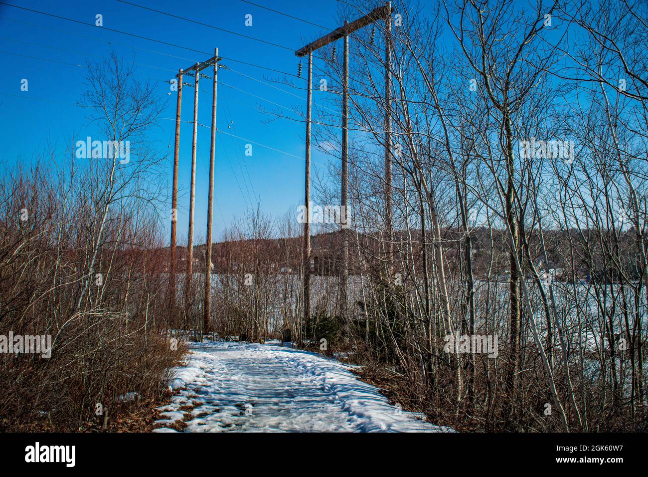Overhead power lines along the trans canada trail in shubie park Stock Photo