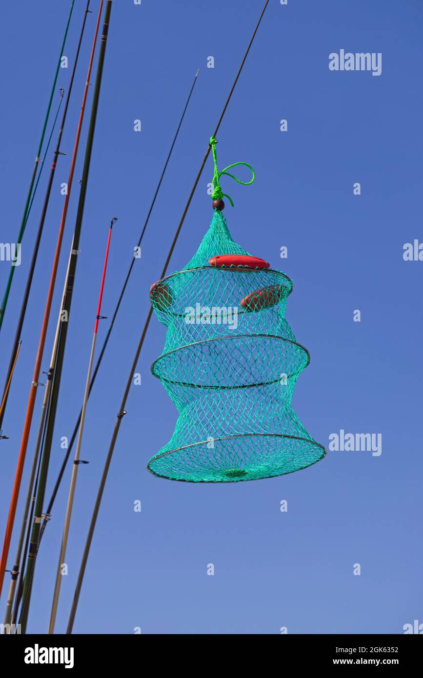Fishing Poles and Collapsible Fish Holding Net Cage Stock Photo - Alamy