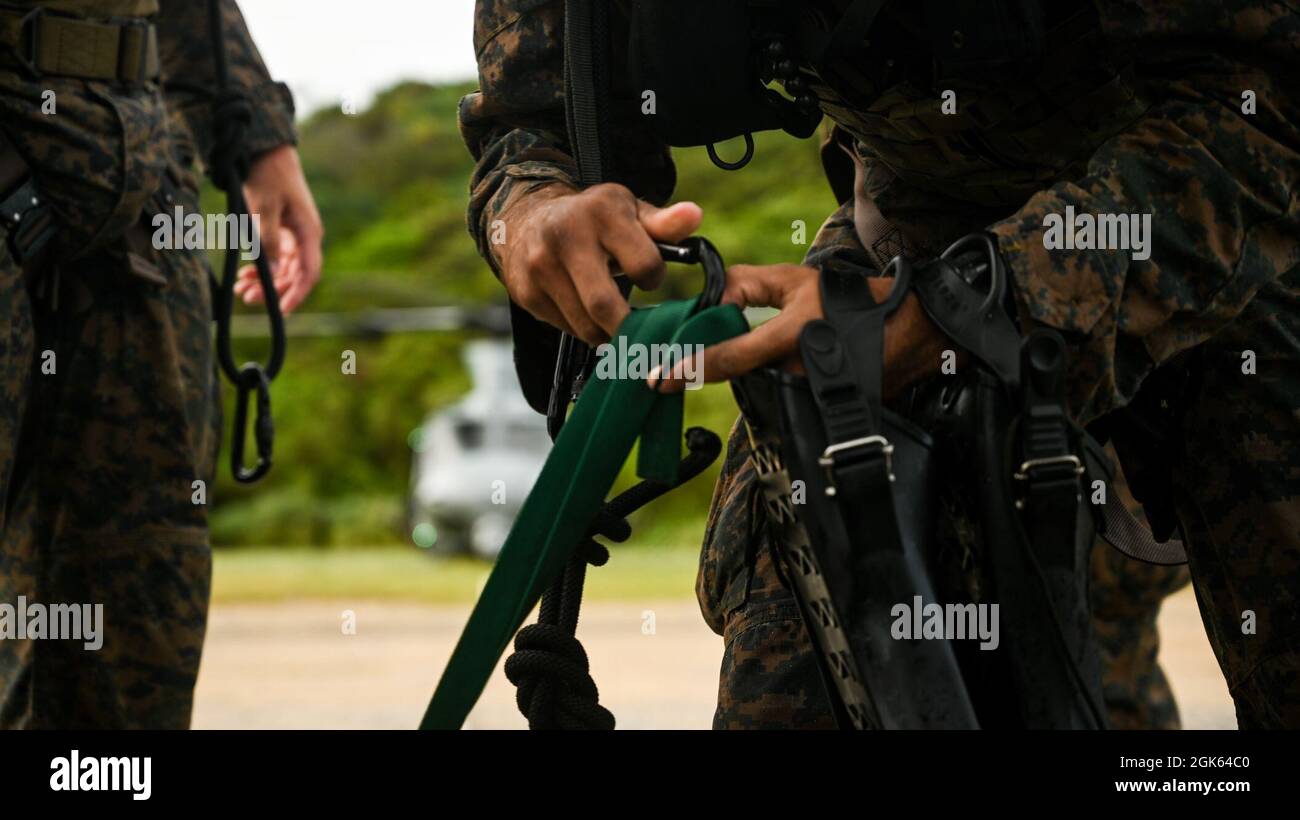 U.S. Marines with 3d Reconnaissance Battalion, 3d Marine Division ...