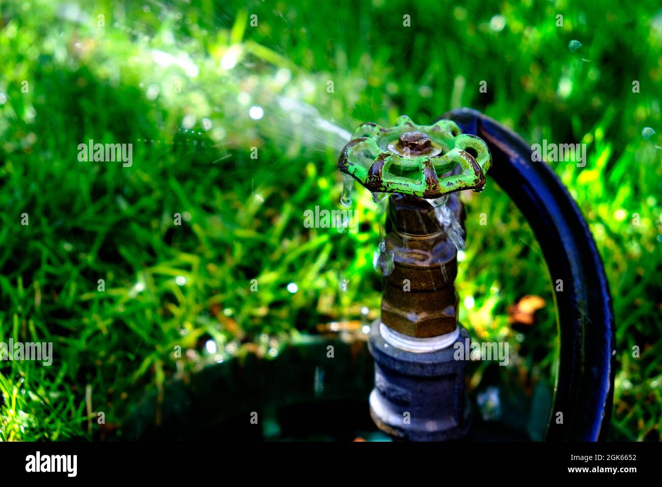 Leaky water faucet with hose spraying water out onto grass drops spray Stock Photo