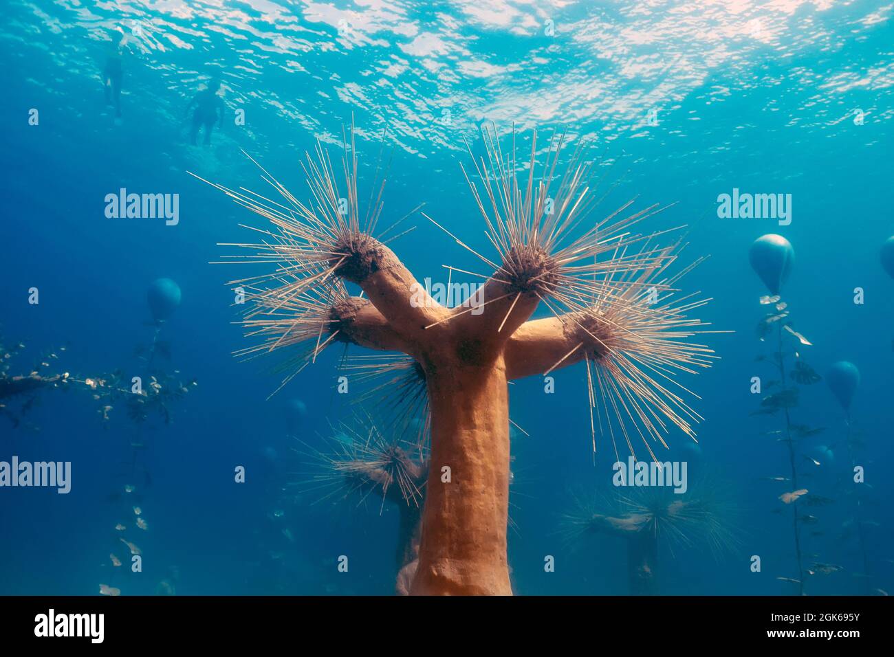 MUSAN Museum of Underwater Sculpture in Ayia Napa, Cyprus Stock Photo Alamy