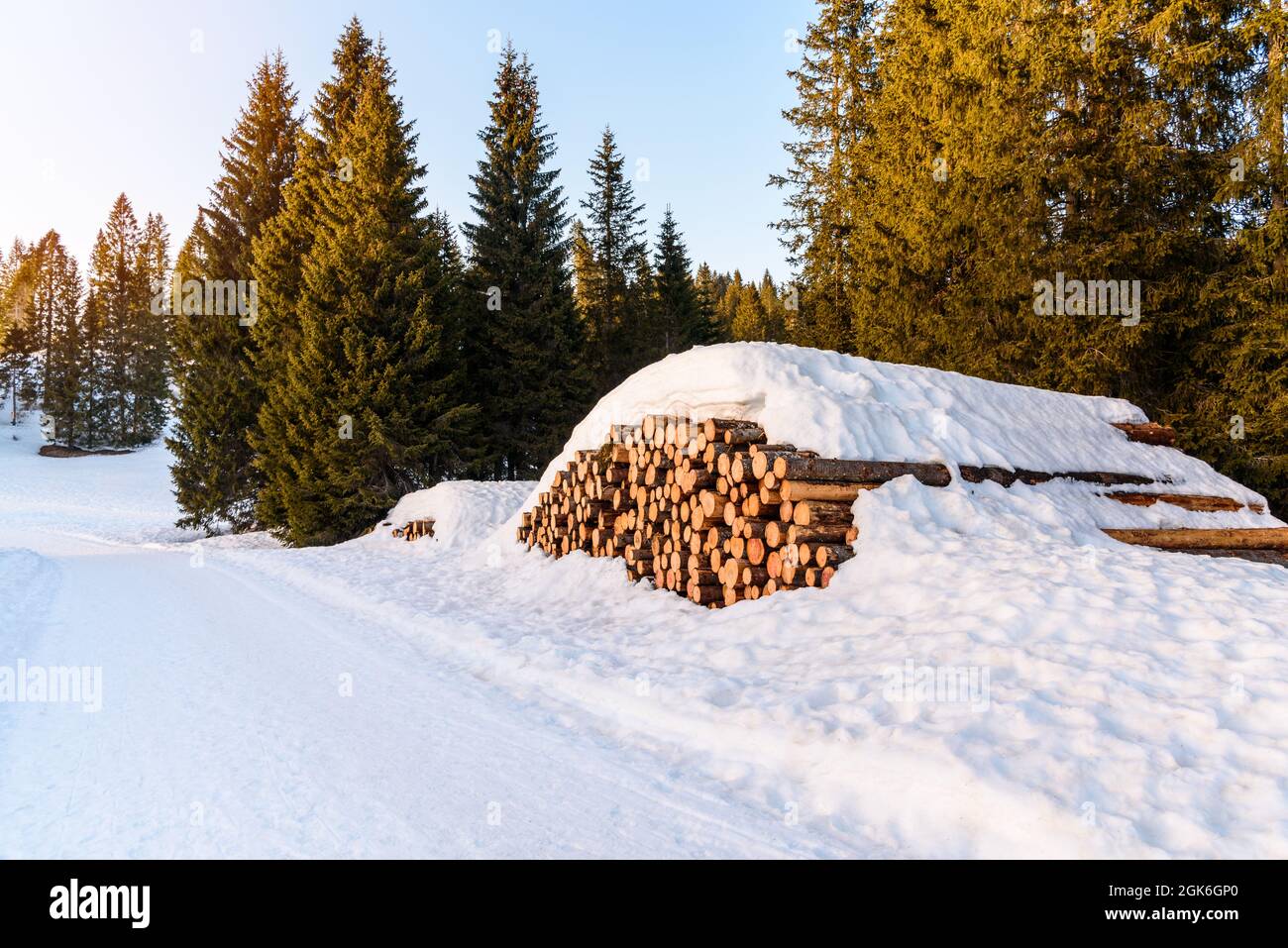Winter mountain landscape with a stack of logs for timber industry along a forest road at sunset Stock Photo