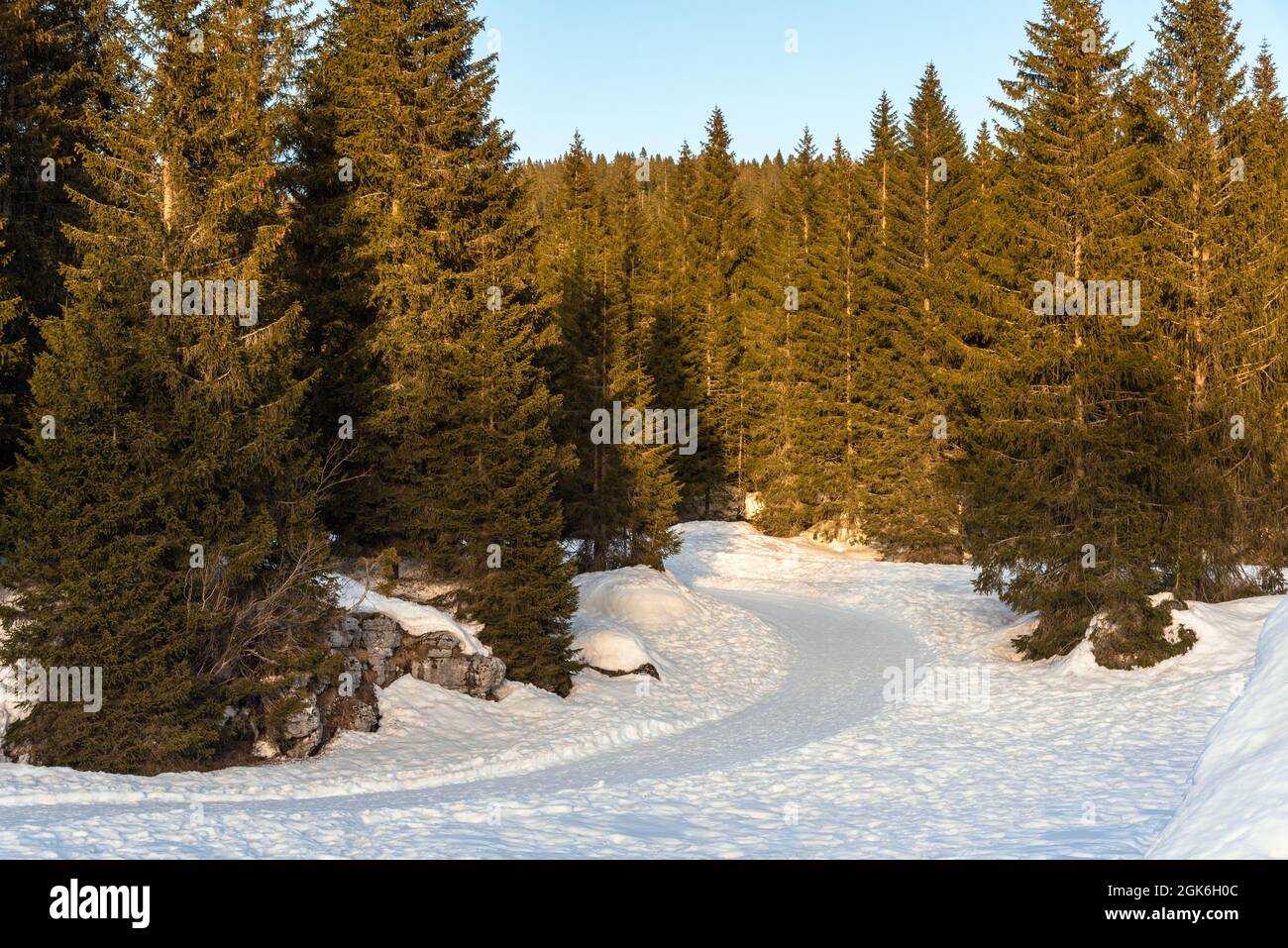 Empty winding snowy path through a pine forest in the mountains at sunset Stock Photo