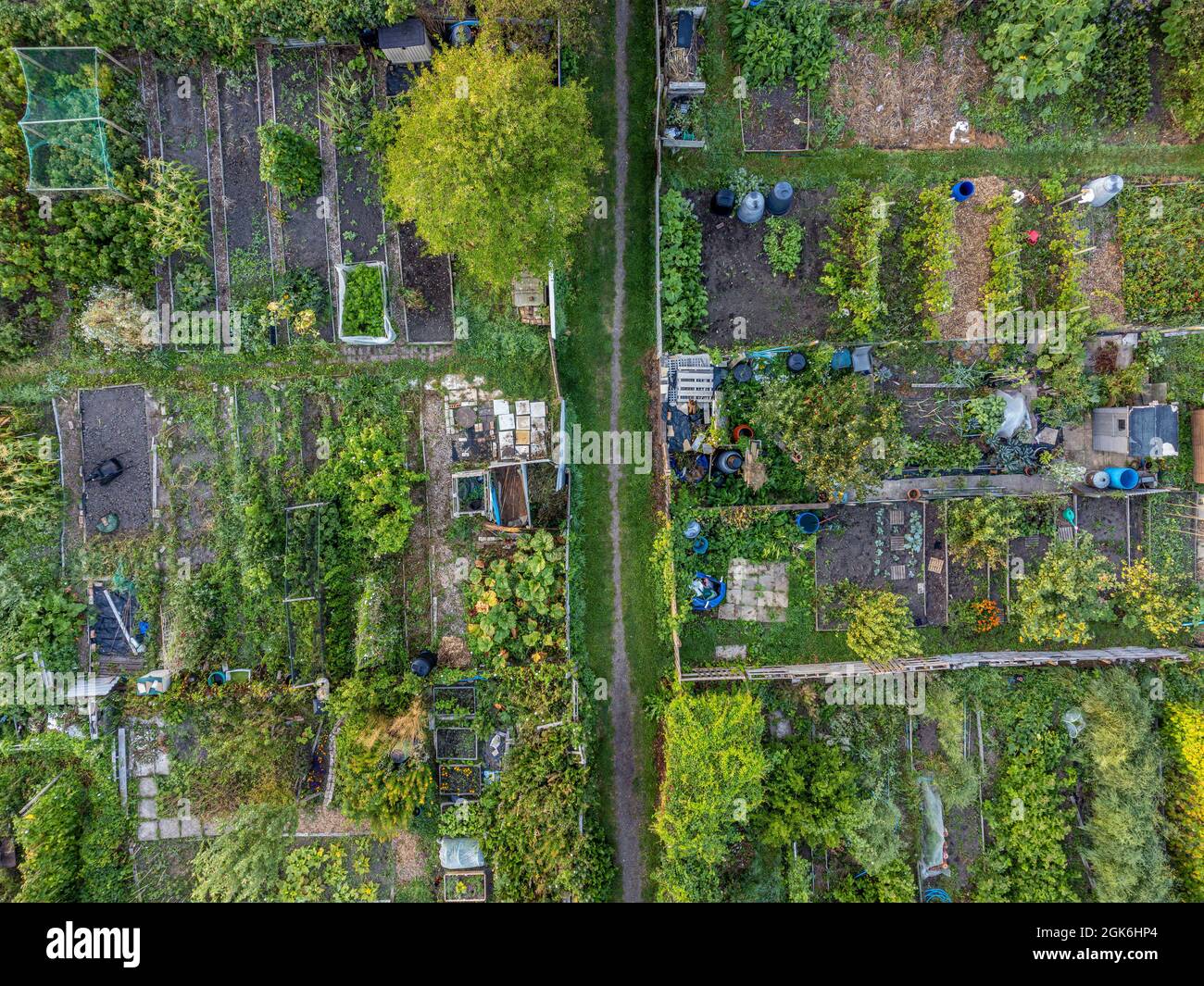 Aerial photo of allotment plots in York, North Yorkshire, UK Stock Photo