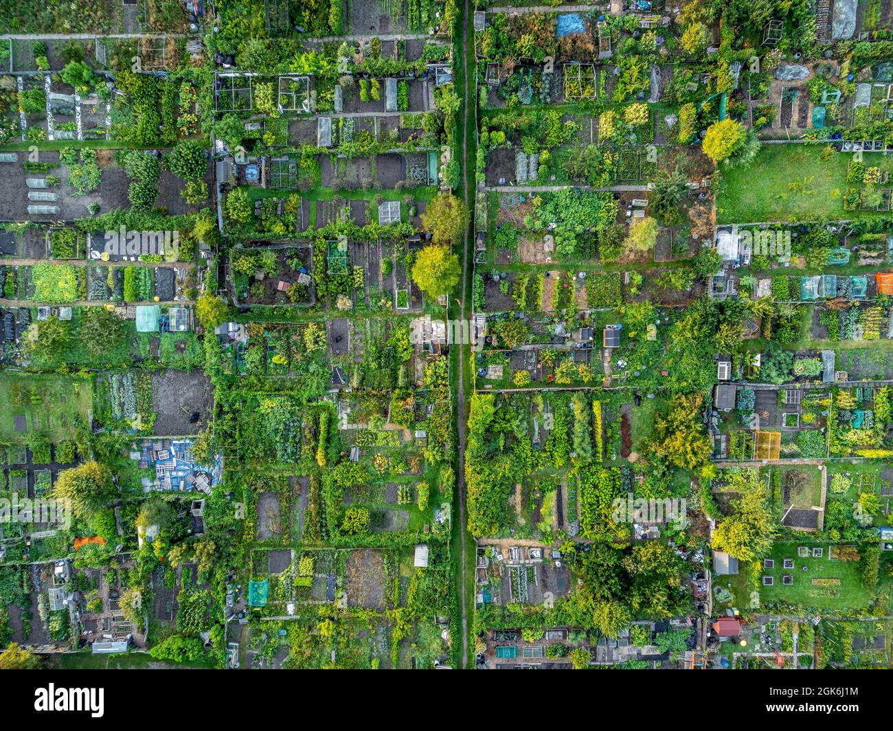 Aerial photo of allotment plots in York, North Yorkshire, UK Stock