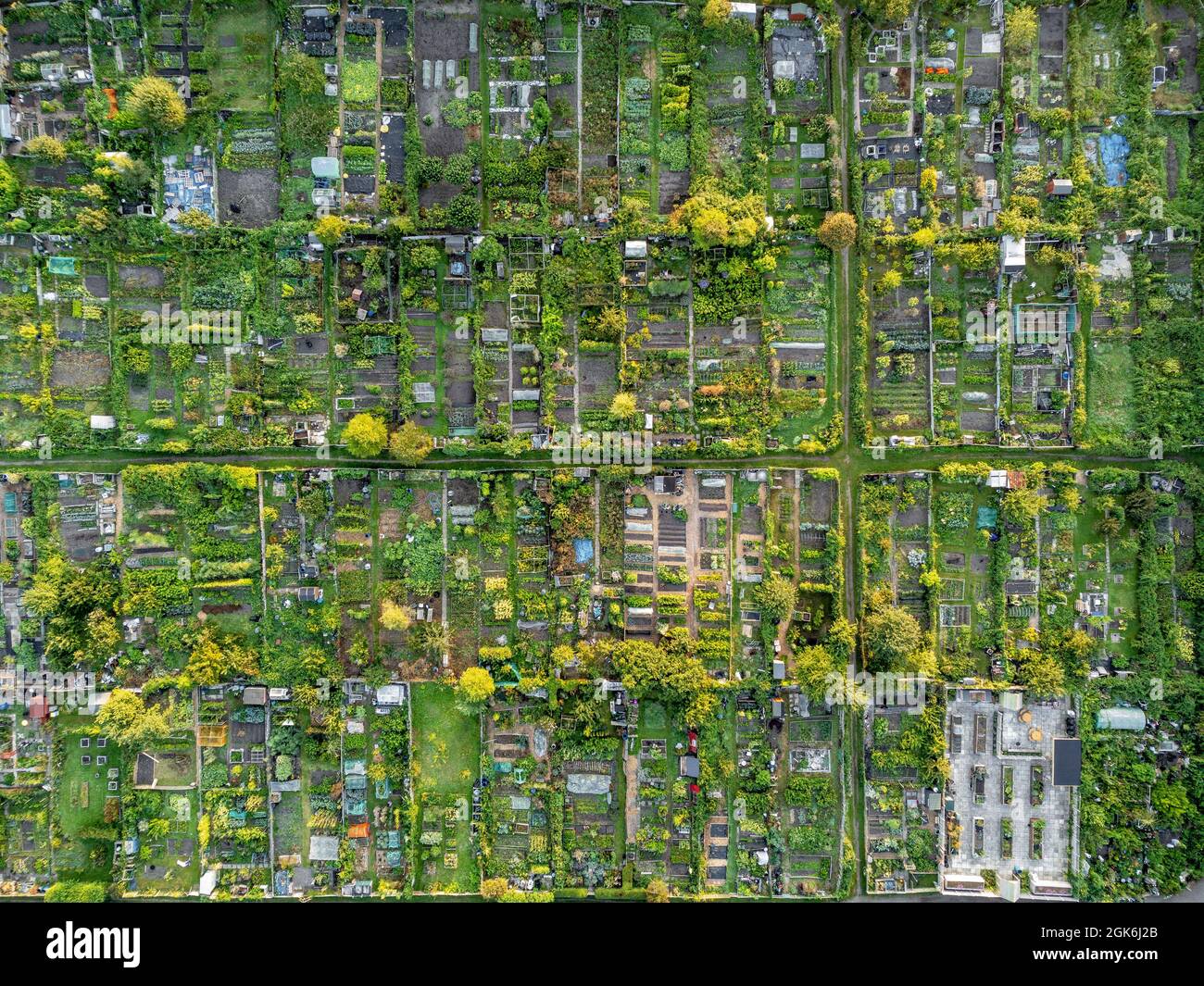 Aerial photo of allotment plots in York, North Yorkshire, UK Stock Photo
