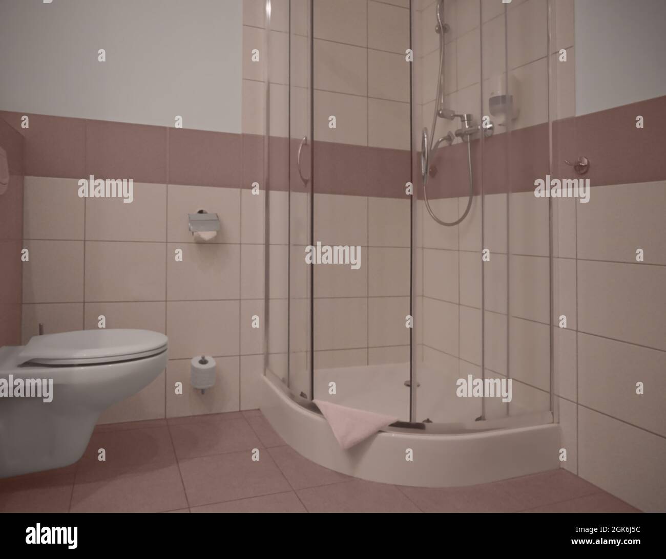 Bathroom with toilet and shower unit Stock Photo Alamy