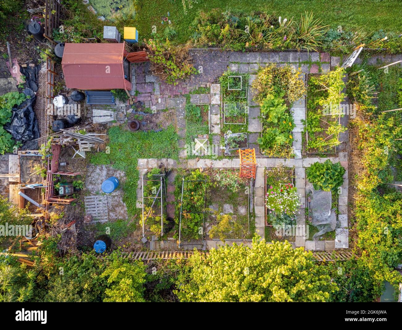 Aerial photo of an allotment plot with raised beds and a shed, in York, North Yorkshire, UK Stock Photo