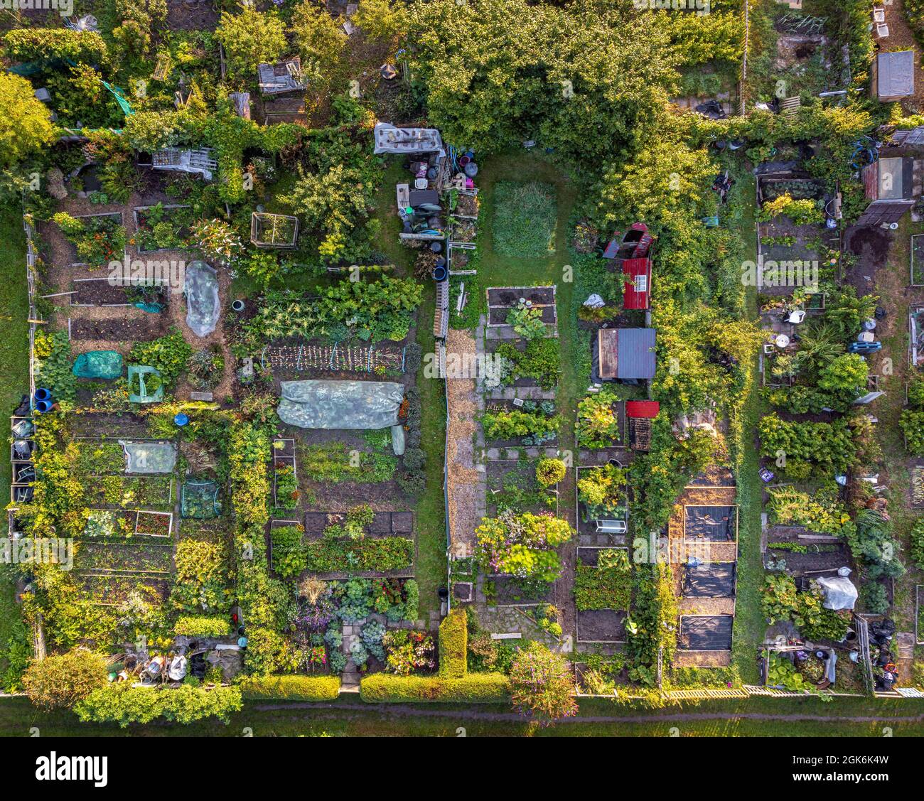 Aerial photo of allotment plots in York, North Yorkshire, UK Stock