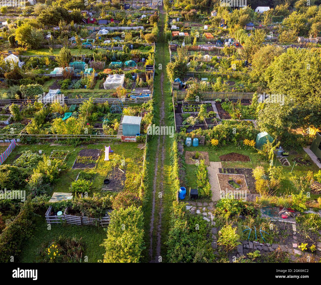 Early morning aerial photo of allotment plots in York, North Yorkshire, UK Stock Photo
