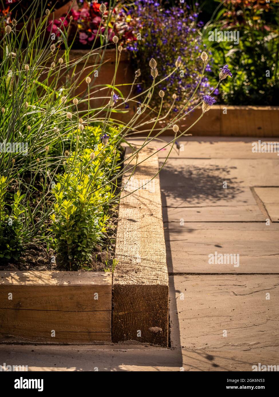 Wooden raised flower beds in a UK garden. Stock Photo