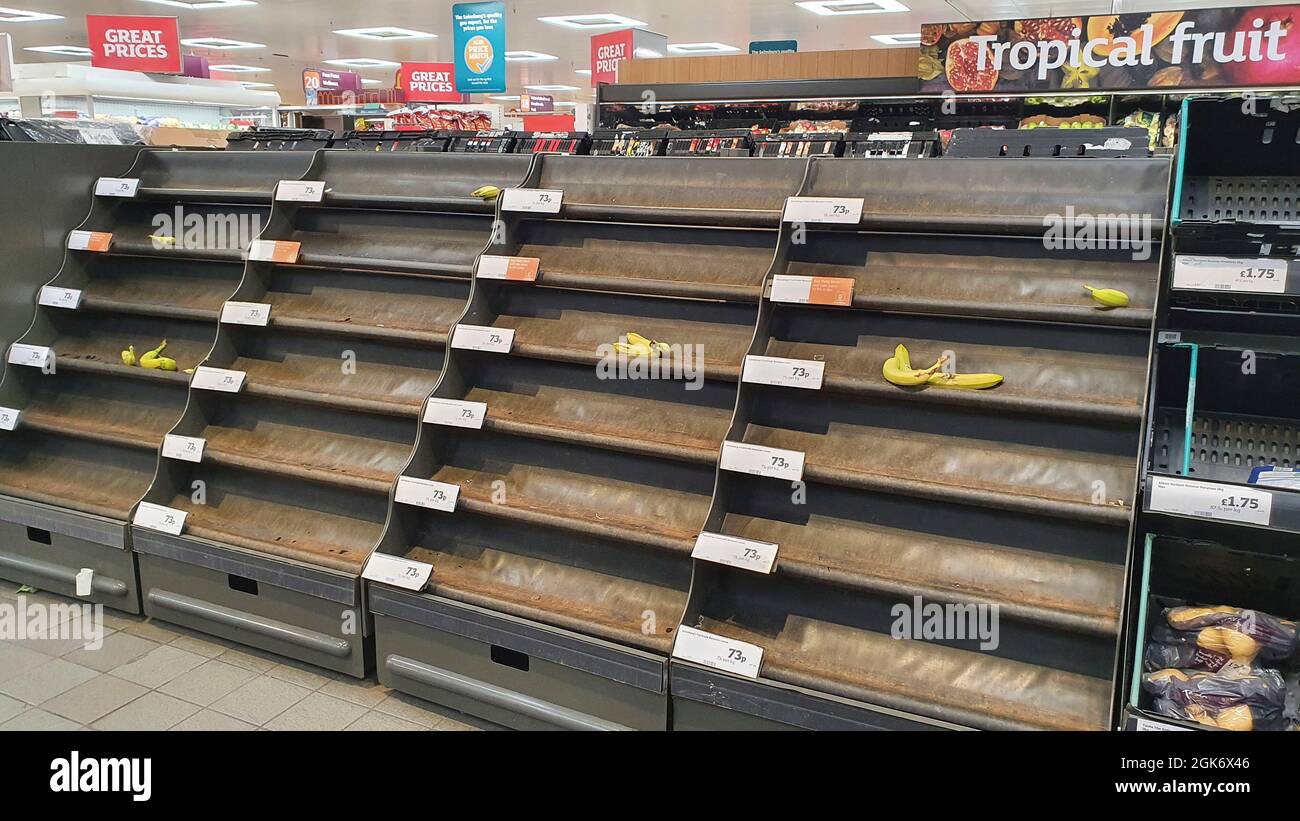 London, UK. 13th Sep, 2021. In the Clapham High Street branch of Sainsbury's supermarket, loose bananas are almost completely out of stock, although bags of bananas were available just around the corner. In the dairy chiller section special signs have been made attributing gaps in the shelves to high demand but it is known that problems with distribution are occurring due to HGV driver shortages caused by the perfect storm of Brexit and the pandemic. Credit: Anna Watson/Alamy Live News Stock Photo