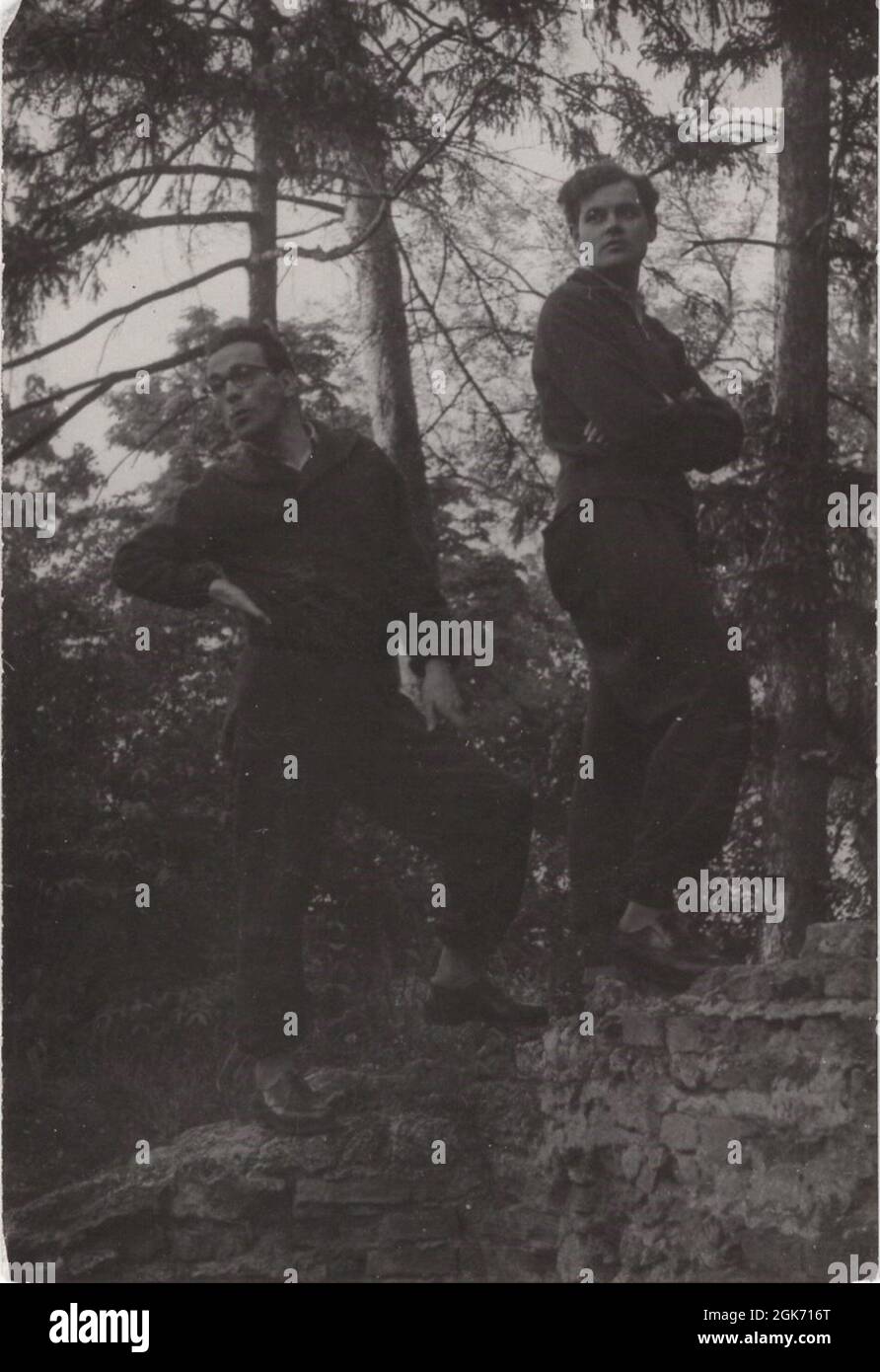 two freinds or brthers went to the wood to posing for the photographer at the 1950's Stock Photo