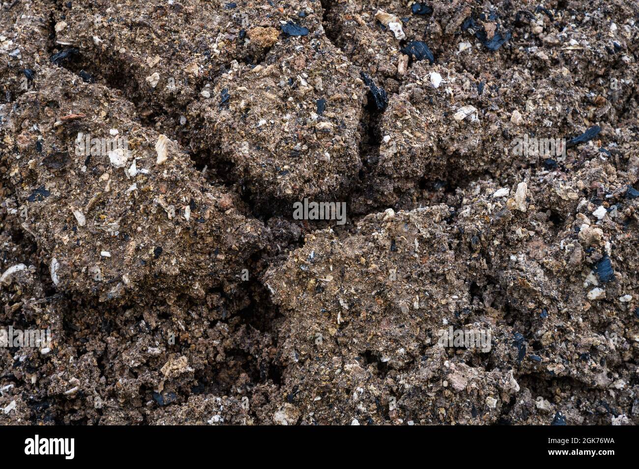 agricultural soil enriched with charcoal for the farmer garden Stock
