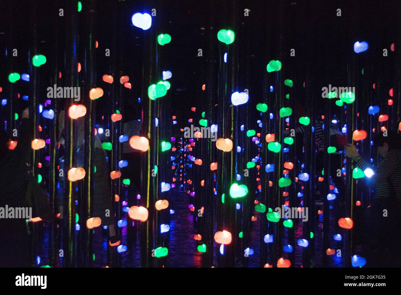 Examples of the Extraordinary light patterns at The Team Lab Borderless