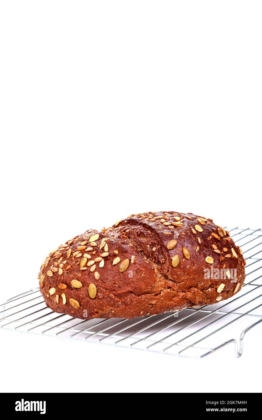 Freshly baked Pumpernickel boule rye bread on a wire cooling rack Stock Photo