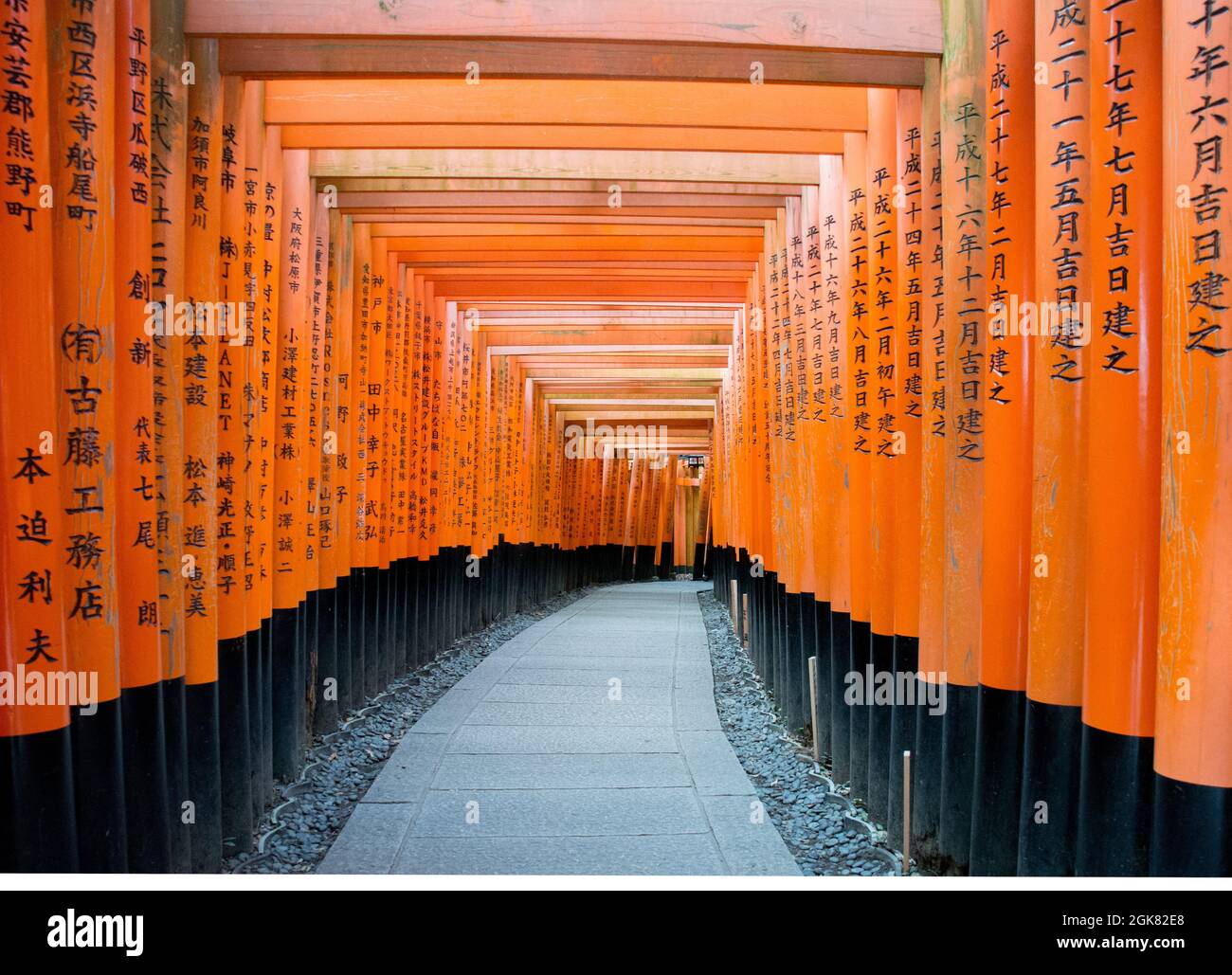 The Fushimi Inari Shinto shrine, a multitude of wooden pillars and cross  members forming a long walk way up to the top of Inari Mountain, Kyoto,  Japan Stock Photo - Alamy