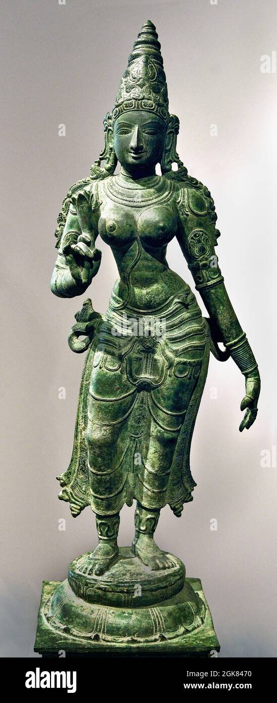 Uma - Statue of Devi in the form of Uma (Parvati). 74.0 cm, 13th Century 1400 - 1500 bronze South India Stock Photo