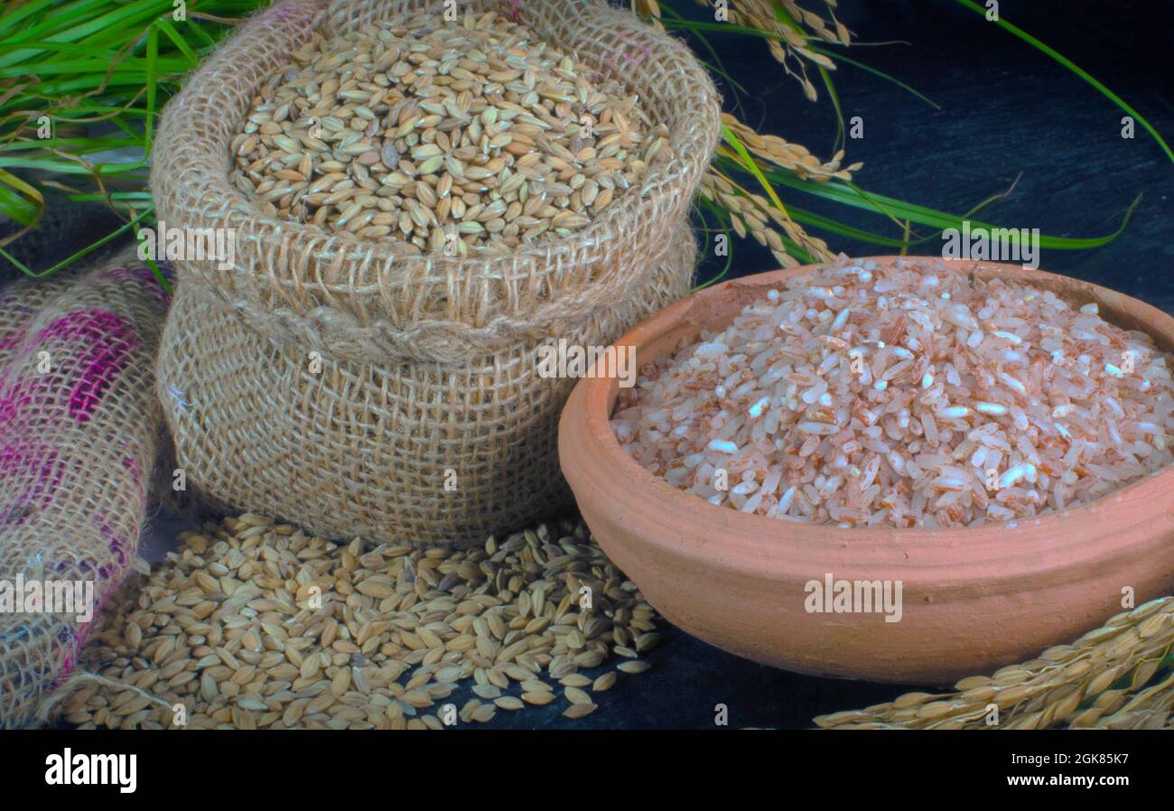 The new crop of RED Rice harvest. The Aluth Sahal Mangalle or the New ...