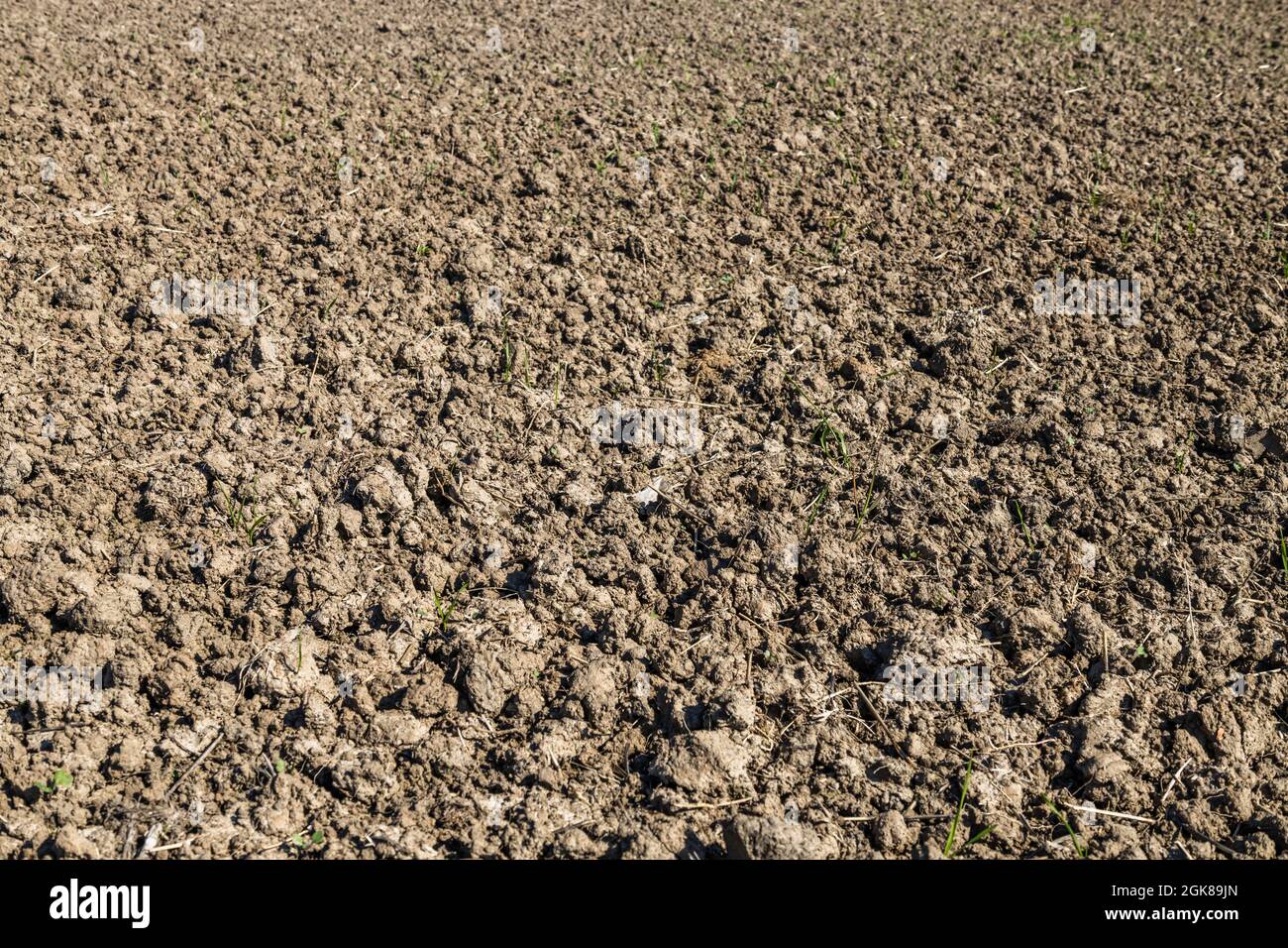 Agricultural Land Recently Plowed and Prepared for the Crop Stock Photo ...