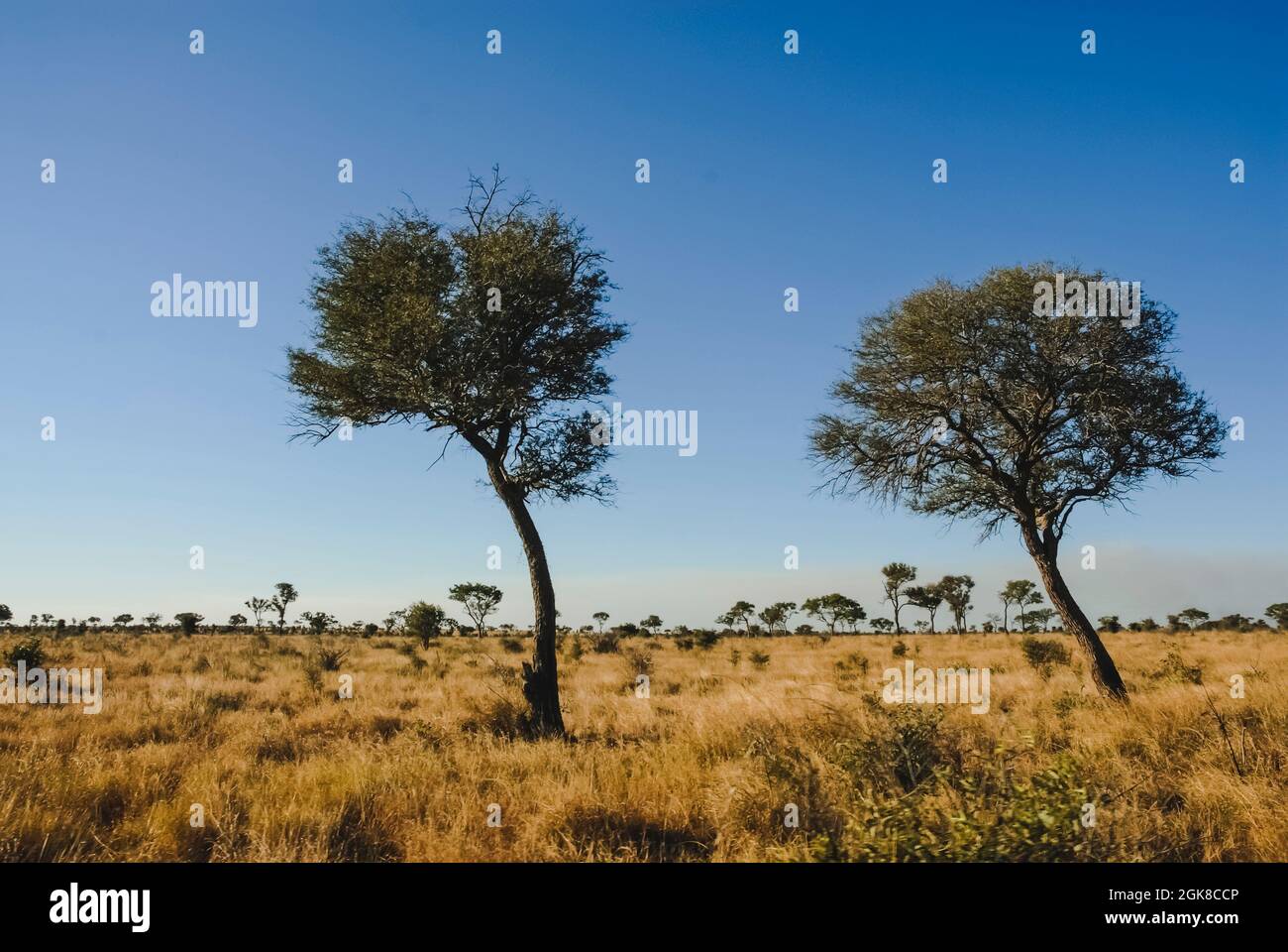 South africa climate change hi-res stock photography and