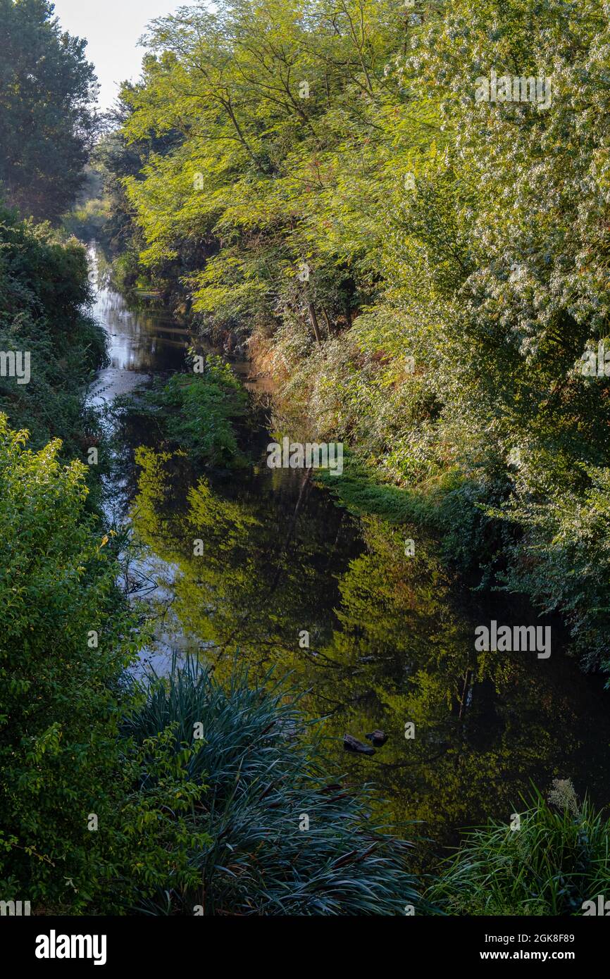 Blue fresh spring water river stream landscape surrounded by green herbs reflected on water Stock Photo