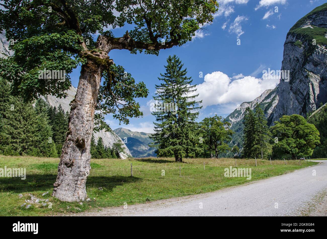 From the Eng you can do many hiking and mountain tours. The 700 m  footpath from a large parking lot to the Almdorf, surrounded by beautiful nature. Stock Photo