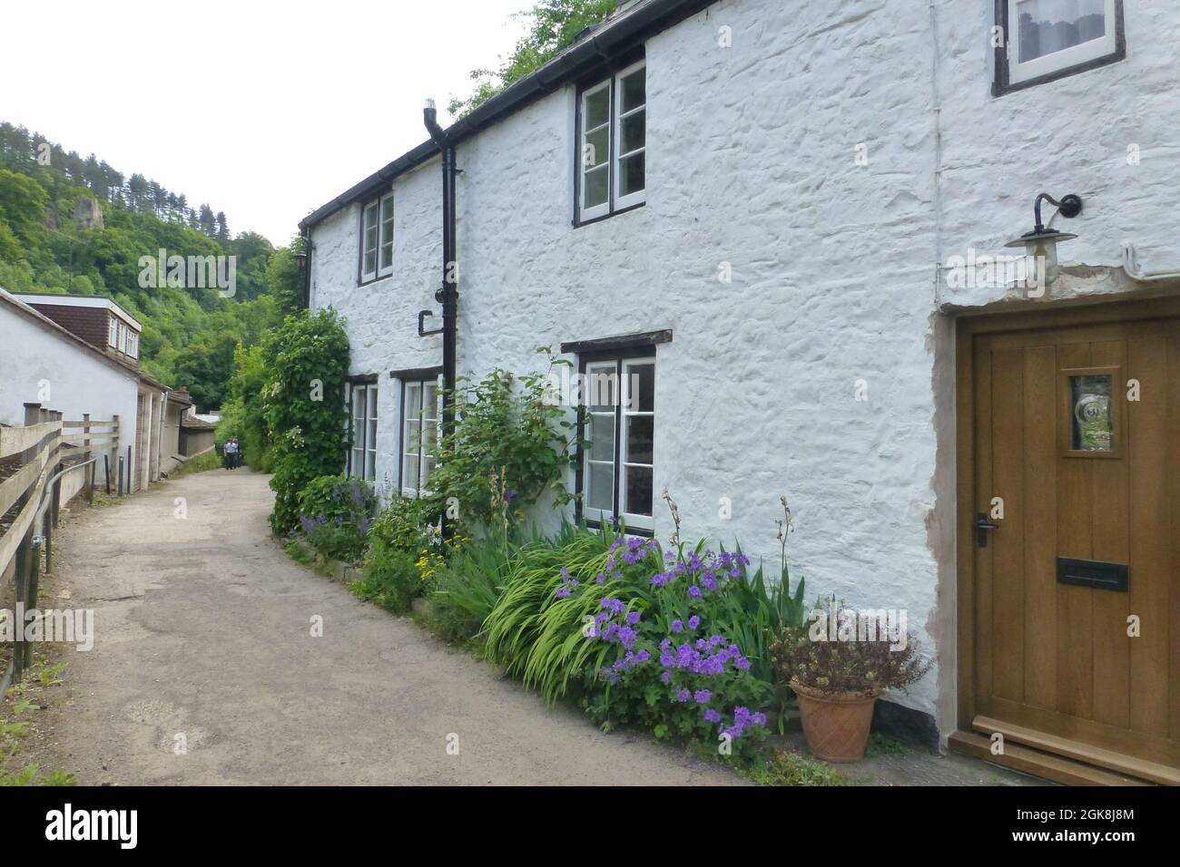 Forest of Dean Wye Valley Gloucestershire UK Stock Photo Alamy