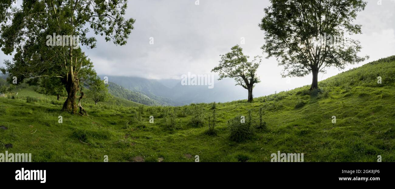 Spectacular panoramic scenery of mountain range covered with lush green vegetation under cloudy sky in summer day in Redes in Asturias Spain Stock Photo