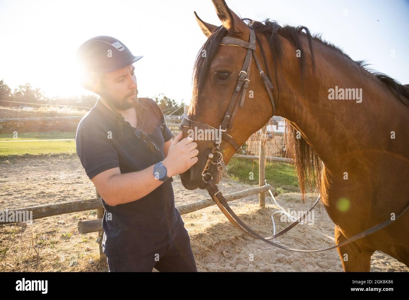 Adult male in protective helmet holding stallion by reins against stables of riding school in countryside Stock Photo