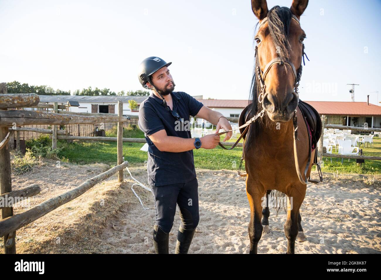 Adult male in protective helmet holding stallion by reins against stables of riding school in countryside Stock Photo