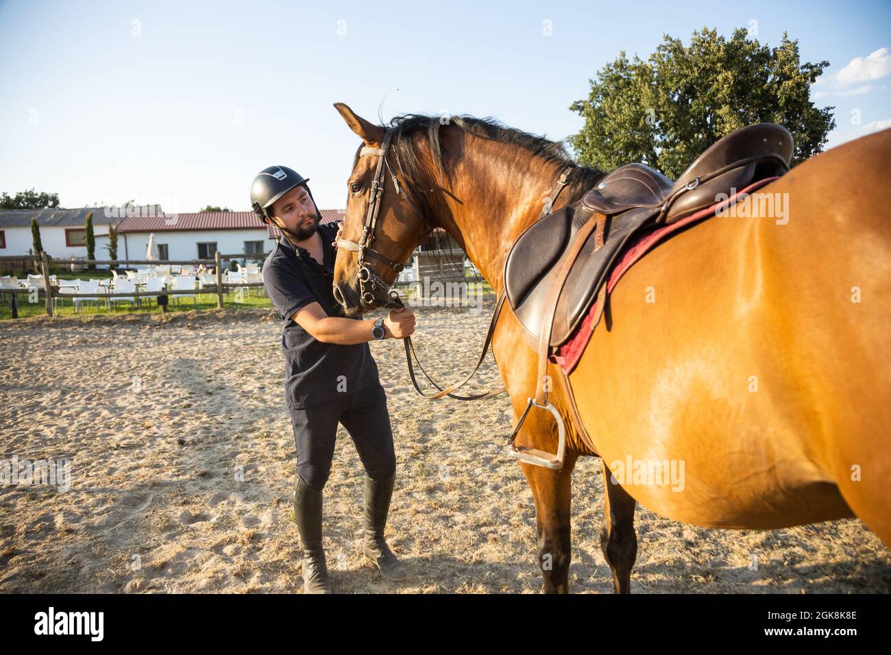 Adult male in protective helmet holding stallion by reins against stables of riding school in countryside Stock Photo