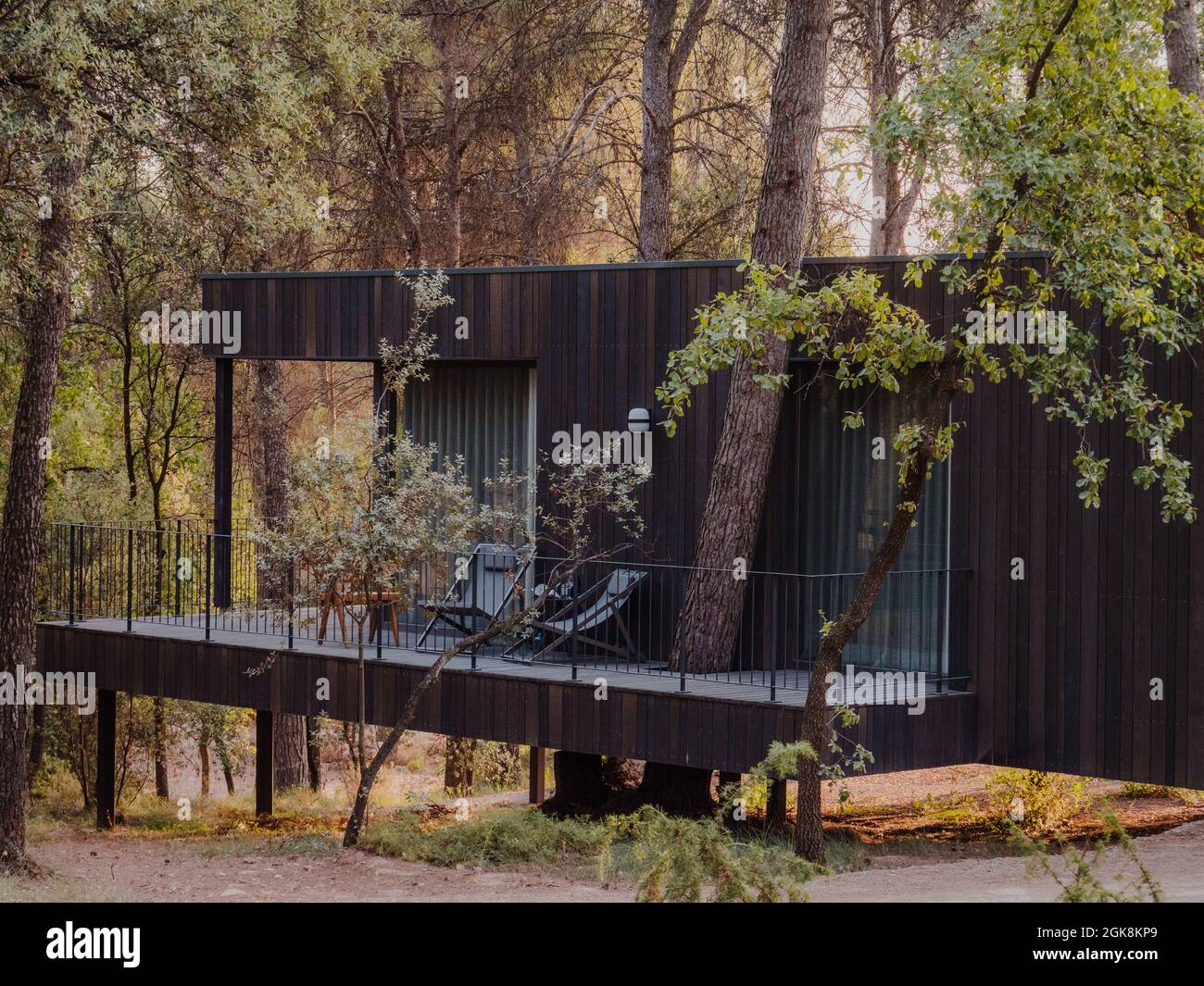 Contemporary cottage with wooden exterior and spacious terrace located