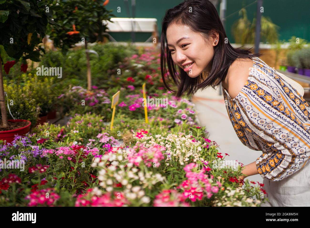 Side view of cheerful young ethnic female shopper leaning forward while picking blossoming flowers in garden center Stock Photo